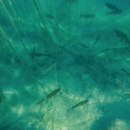 Awesome In Polje Vikendica Mirlovic-Polje